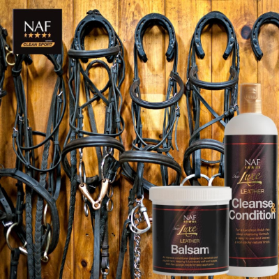 spring-clean-your-tack-room